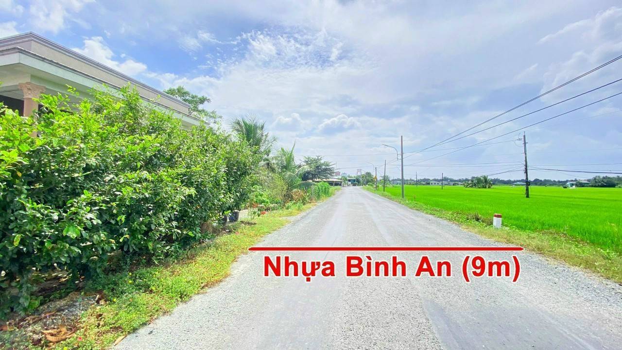Đất thổ cư Tân Trụ 278m² giá 1.5 tỷ - Mặt tiền đường Bình An, kinh doanh thuận lợi!