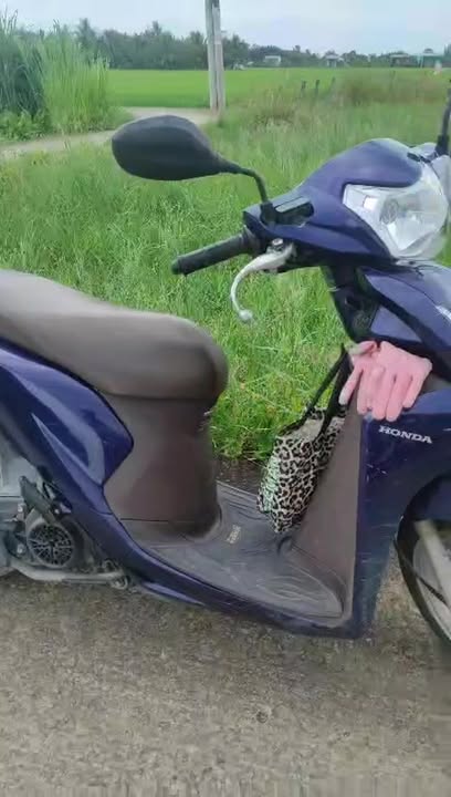 Đất thổ cư 245.5m² tại ấp Bình Lợi, Long An - Giá chỉ 600 triệu, thương lượng nhẹ!