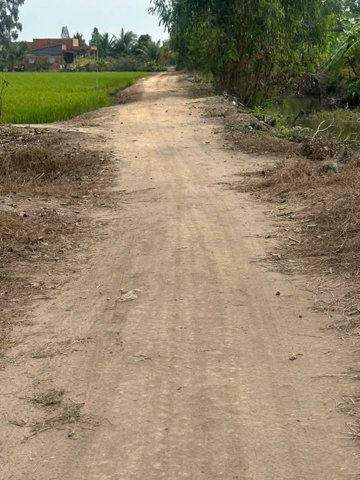 Đất nền thổ cư 250m² tại Mỹ Thạnh Đông, Đức Huệ giá chỉ 399 triệu - Cơ hội đầu tư tuyệt vời!