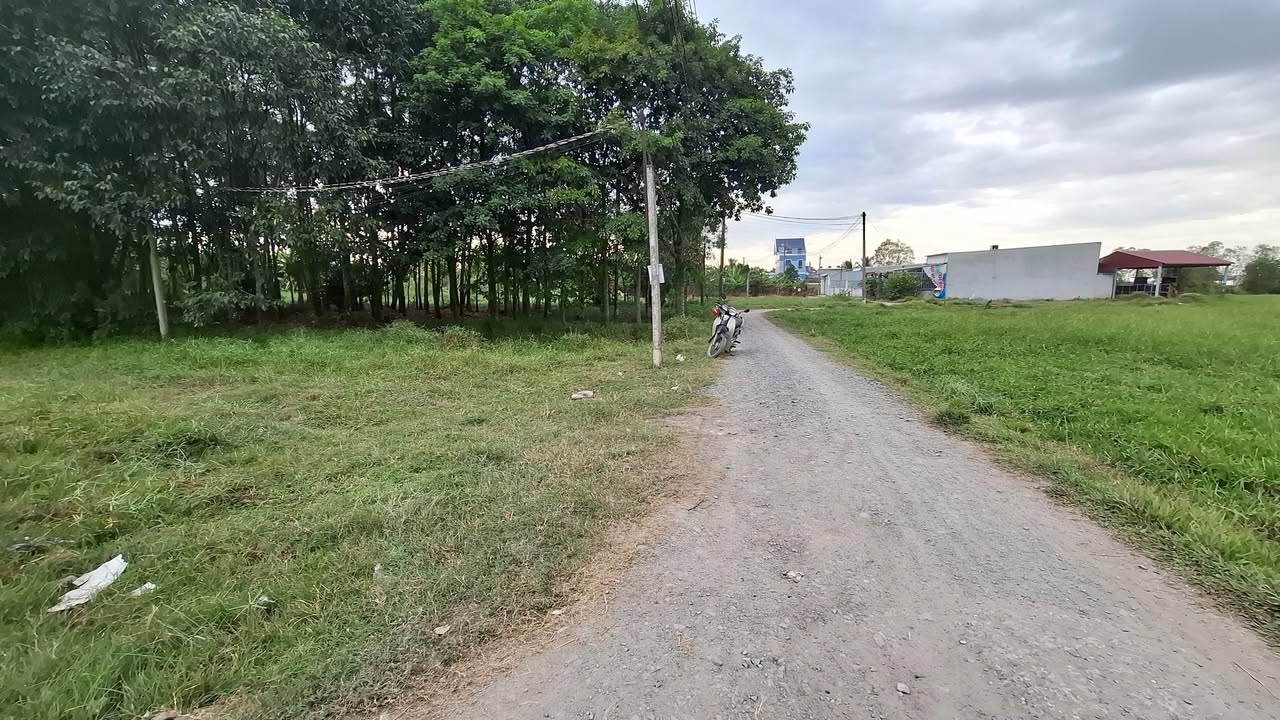 Đất thổ cư Mỹ Hạnh Bắc, Đức Hòa, Long An 800m² giá 2.9 tỷ - Đầu tư sinh lời ngay!