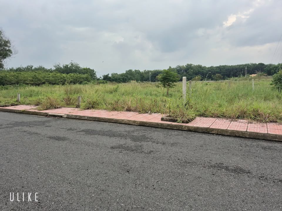 Đất nền Phước Đông, Gò Dầu 130m² giá 650 triệu - Đầu tư sinh lời ngay!