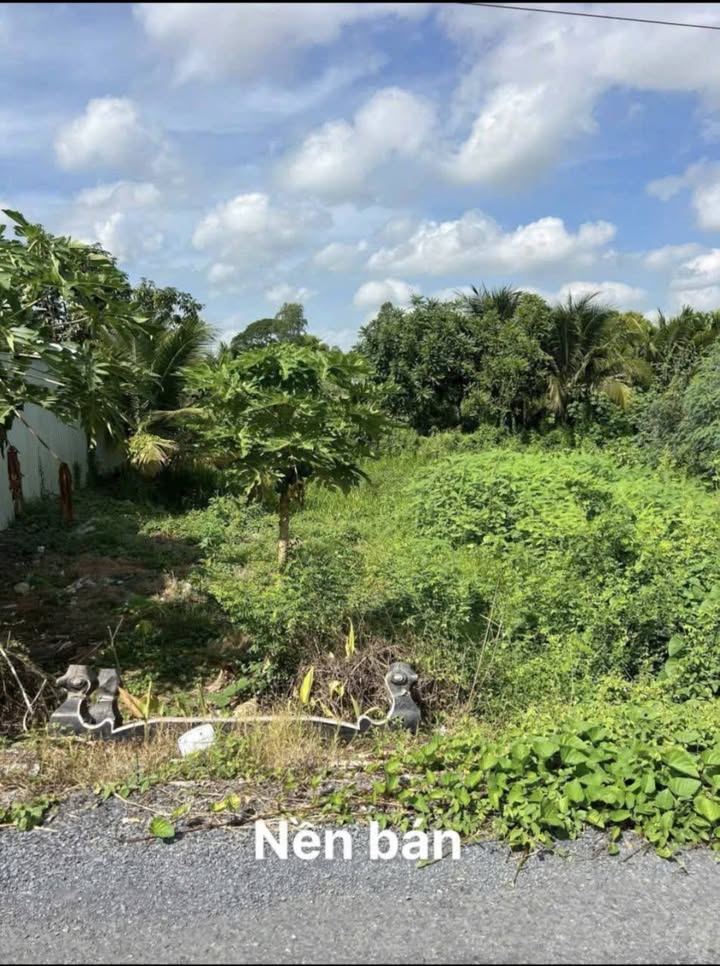 Đất nền mặt tiền nhựa Hòa Bình Chợ Mới 60m² giá chỉ 200 triệu - Tiềm năng phát triển!