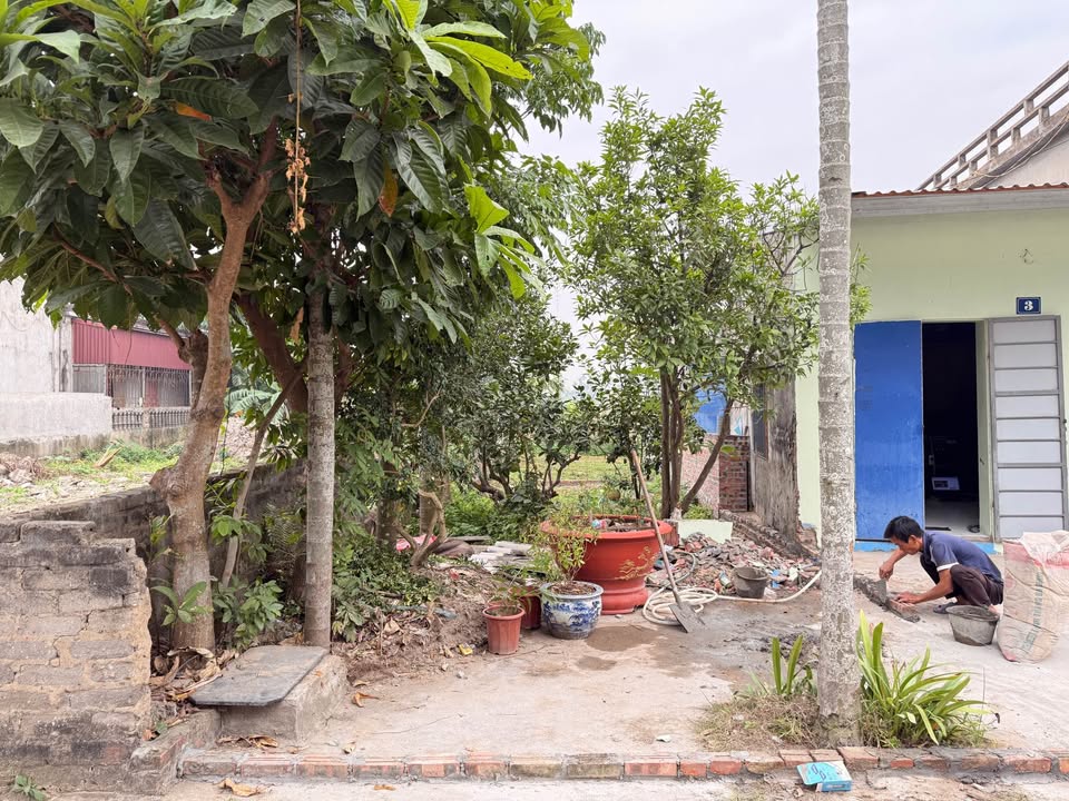 Đất nền Hồng Thái, An Dương 60m² giá 1.3 tỷ - Cơ hội đầu tư hiếm có!