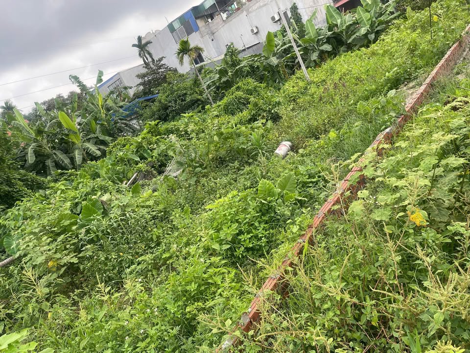 Đất thổ cư Hồng Thái, An Dương 107m² - Ô tô vào tận nơi!