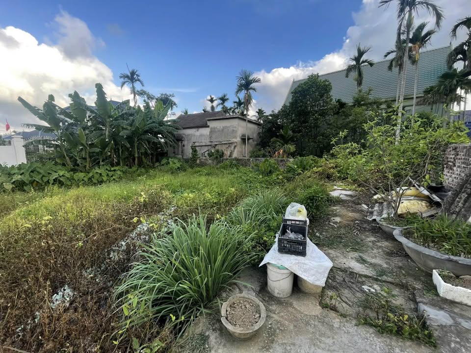 Đất nền Hồng Thái, An Dương 60m² giá 1.2 tỷ - Ô tô đỗ cửa ngay sát cầu Kiến An!