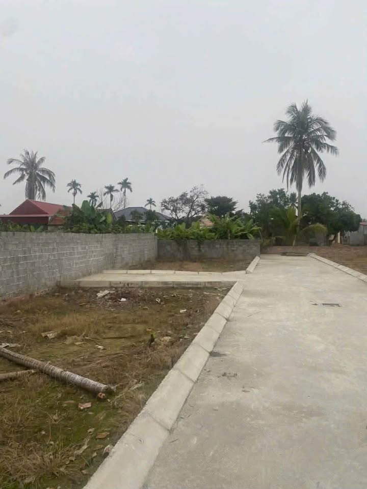 Đất nền Quang Hưng An Lão 64m² - Ô tô vào tận đất, giá thỏa thuận!