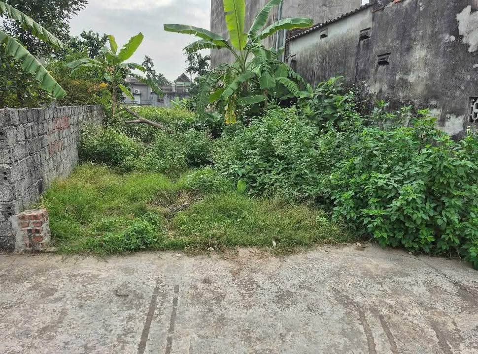 Đất nền Phù Liễn, Hải Phòng 80m² giá 1.9 tỷ - Sổ đỏ chính chủ, ô tô đậu thoải mái!