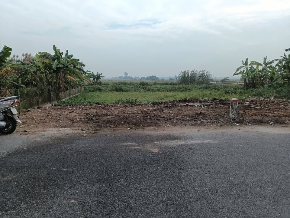 Đất nền phường Trần Lãm, Kiến Xương 100m² giá 1.2 tỷ - Vị trí thuận lợi cho đầu tư!