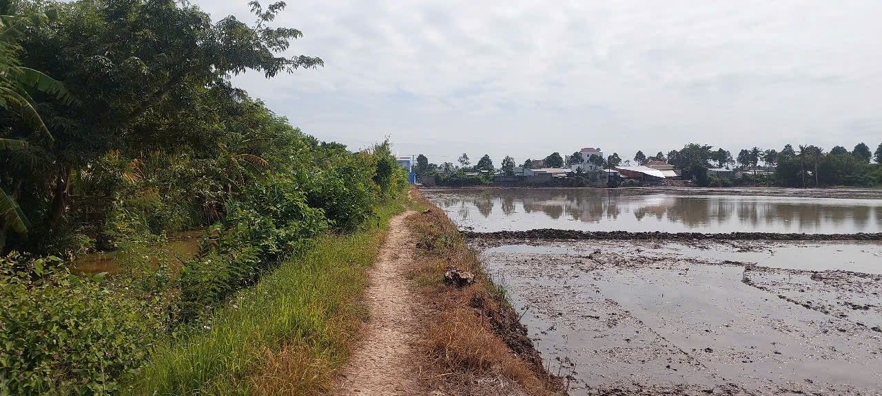 Đất vườn 1 công mặt tiền kênh Phường 5, Sóc Trăng giá 465 triệu - Cơ hội đầu tư hấp dẫn!