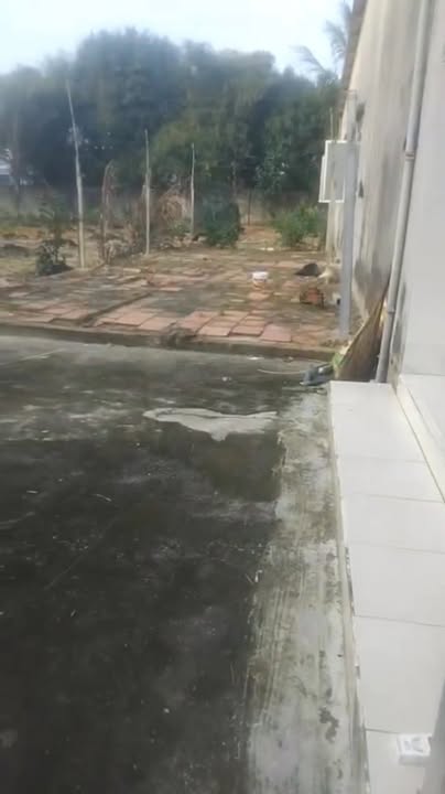 Đất vườn 1440m² tại Bình Mỹ, Củ Chi - Giá chỉ 5.76 tỷ, Sổ đỏ chính chủ!