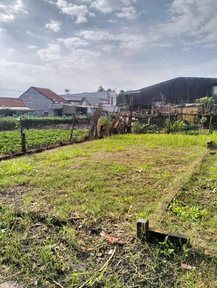 Đất ở Xã Đại Hiệp 87m² giá thỏa thuận - Vị trí thuận lợi, gần chợ và điện máy