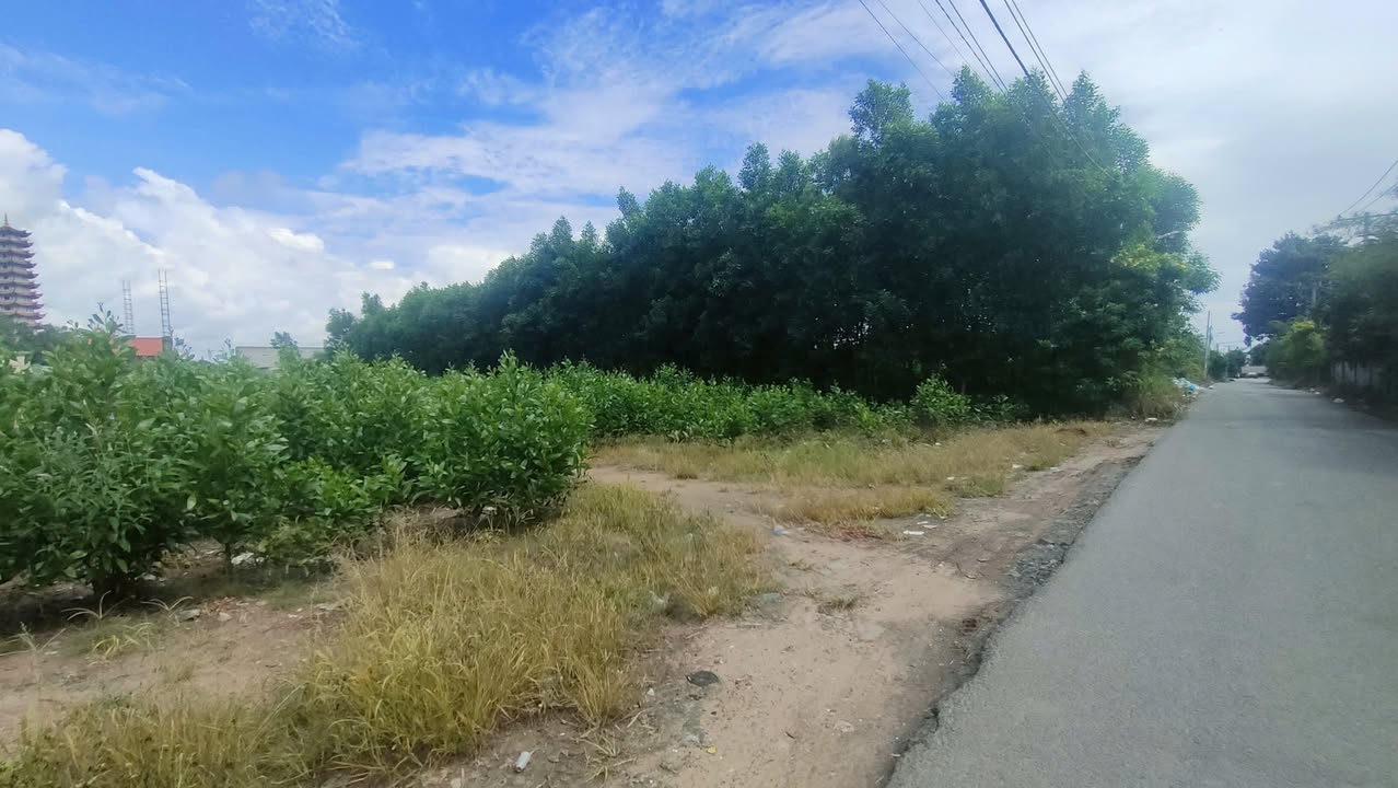 Đất nền Long Phước 9994m² giá 45 tỷ - Cơ hội đầu tư đón sóng sân bay!