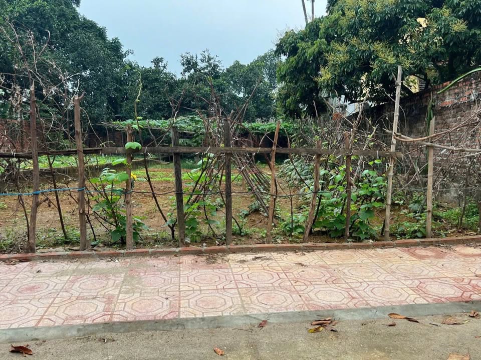 Đất nền thôn 5 Phú Cát 200m² giá 6 tỷ - Cơ hội đầu tư tiềm năng!