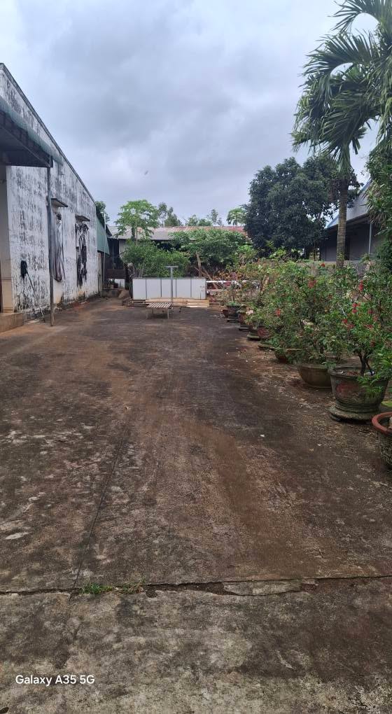 Đất nền phường Ea Kao, Buôn Ma Thuột 320m² giá 9.6 tỷ - Cơ hội đầu tư hấp dẫn!