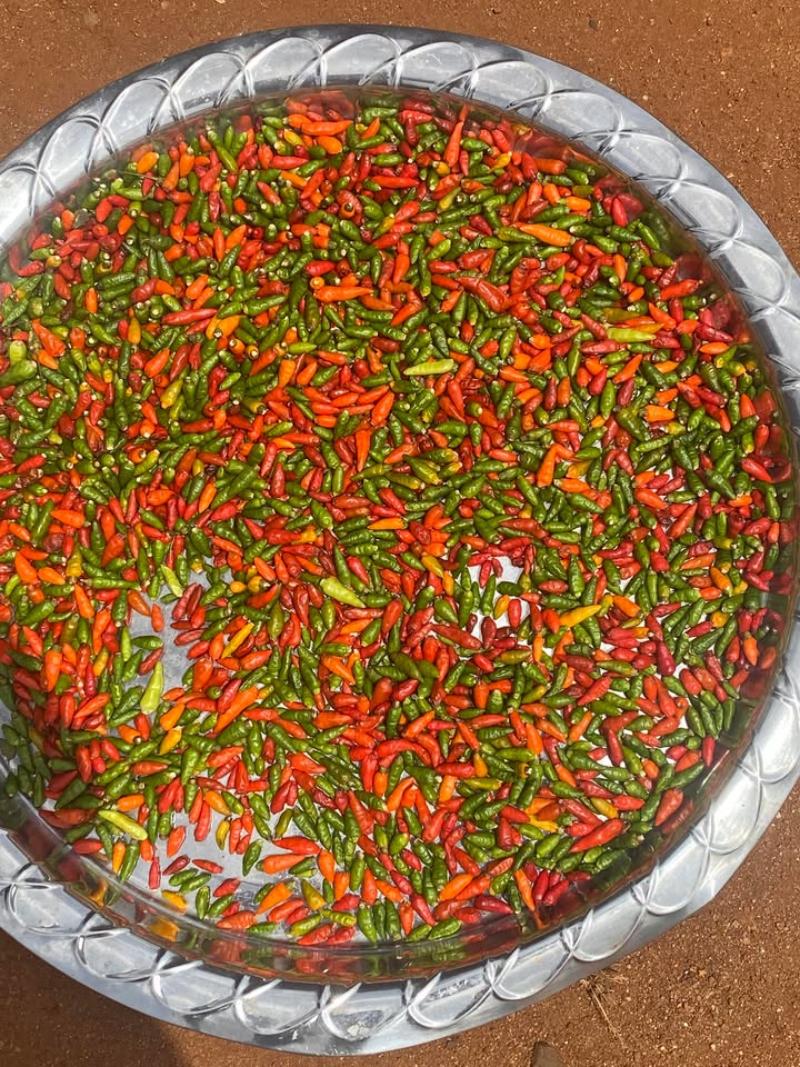 Đất nền Phước An 120m² giá 1.63 tỷ - Đầu tư sinh lời ngay!