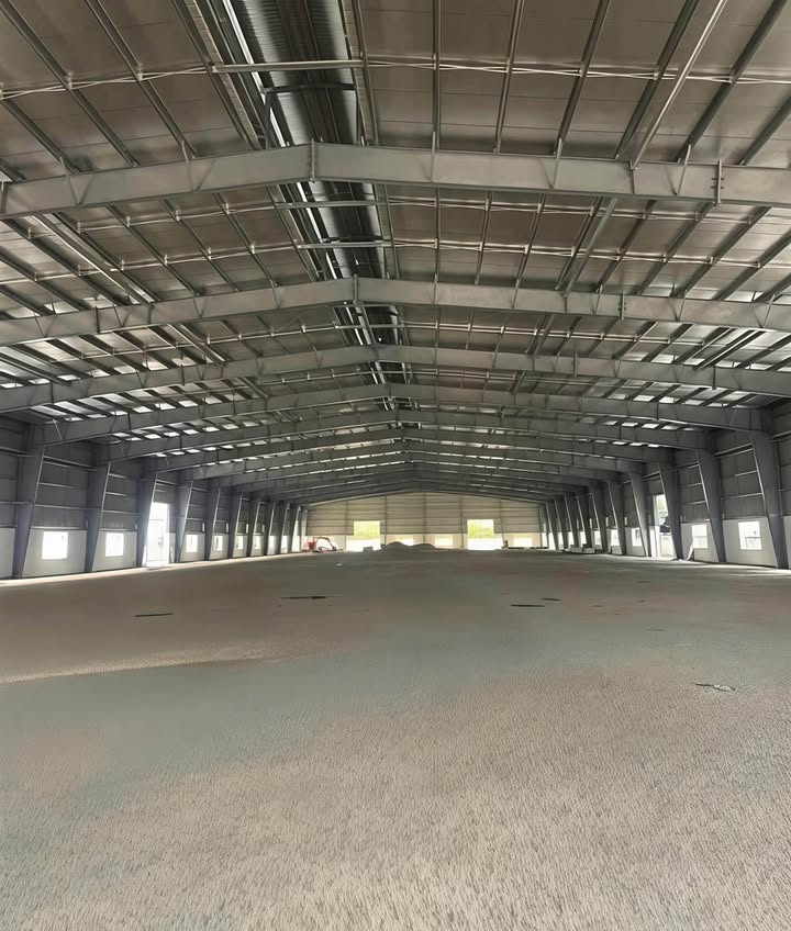 Xưởng cho thuê Phước Hòa, Phú Giáo 11.900m² - Không gian lý tưởng cho doanh nghiệp!