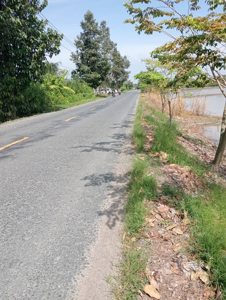 Đất lúa Tân Phú Trung Châu Thành 10.000m² giá tốt - Mặt tiền đường 853 thuận tiện kinh doanh