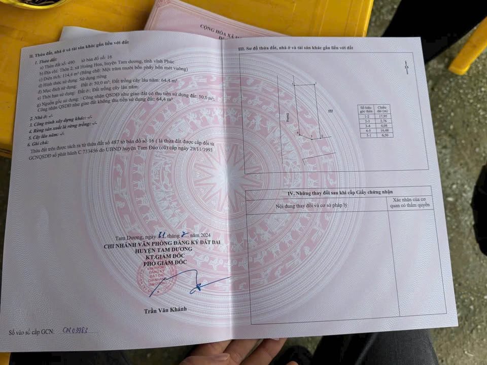 Đất nền thôn 2 xã Hoàng Hoa 114m² giá chỉ 800 triệu - Cơ hội đầu tư tuyệt vời!