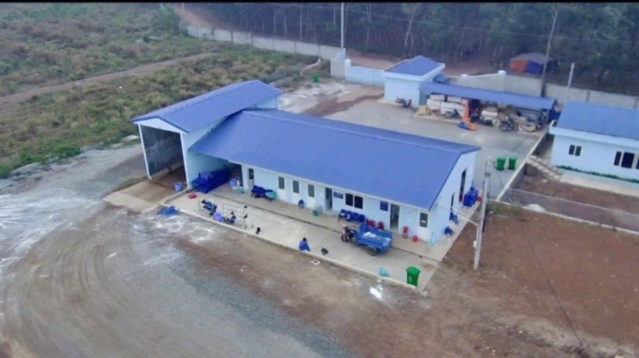 Farm bán tại Xã Thuận Phú, H. Đồng Phú, Bình Phước 15ha - Đang cho thuê 700 triệu/tháng!