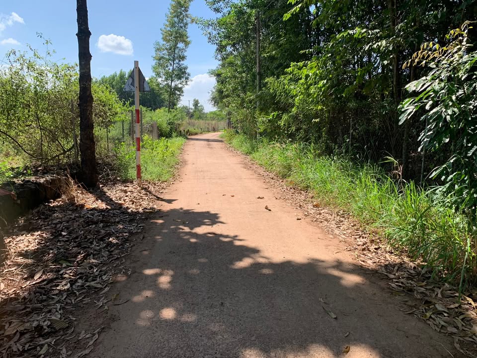 Đất nền Vĩnh Tân 1100m² giá 2 tỷ - Cơ hội đầu tư hấp dẫn!