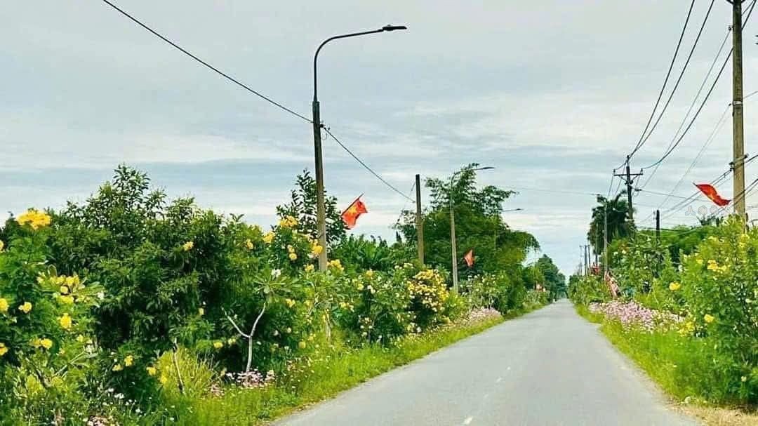 Đất nền mặt tiền đường HL6, Tân Triều 2500m² giá 14.5 tỷ - Cơ hội đầu tư sinh lời!