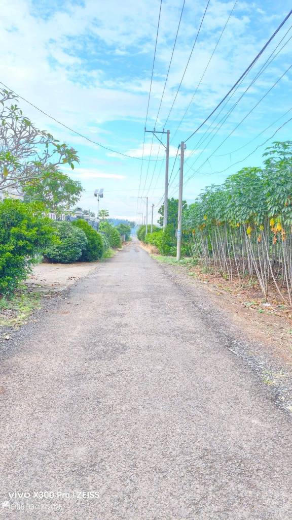 Đất nền Cẩm Đường, Long Thành 1000m² giá 5 tỷ - Đầu tư sinh lời ngay!