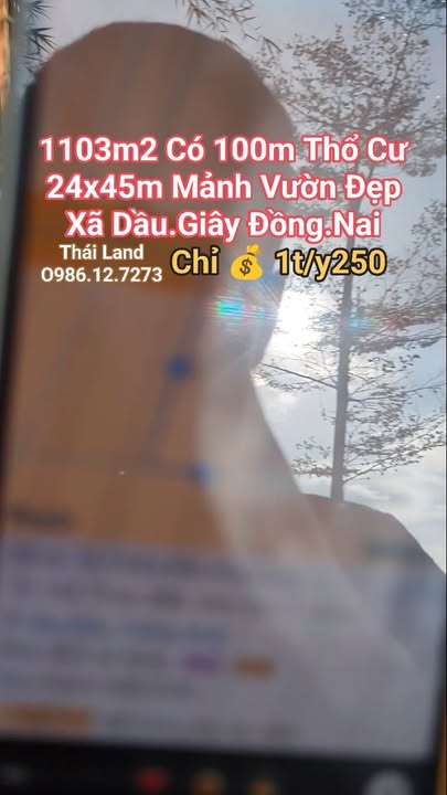 Đất nền Dầu Giây, Trảng Bom 1103m² giá chỉ 1.25 tỷ - Cơ hội đầu tư tuyệt vời!