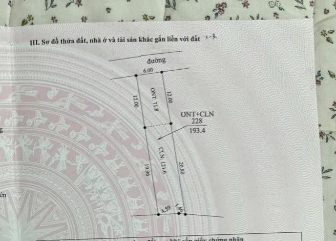 Đất nền Lục Nam 193m² giá 1.1 tỷ - Đường to thông thoáng, đầu tư sinh lời!