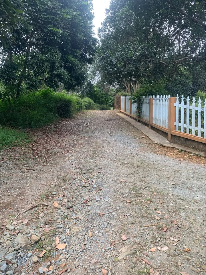 Trang trại tại Gia Phú 8.810m² giá 4 tỷ - Cơ hội đầu tư sinh lời hấp dẫn!