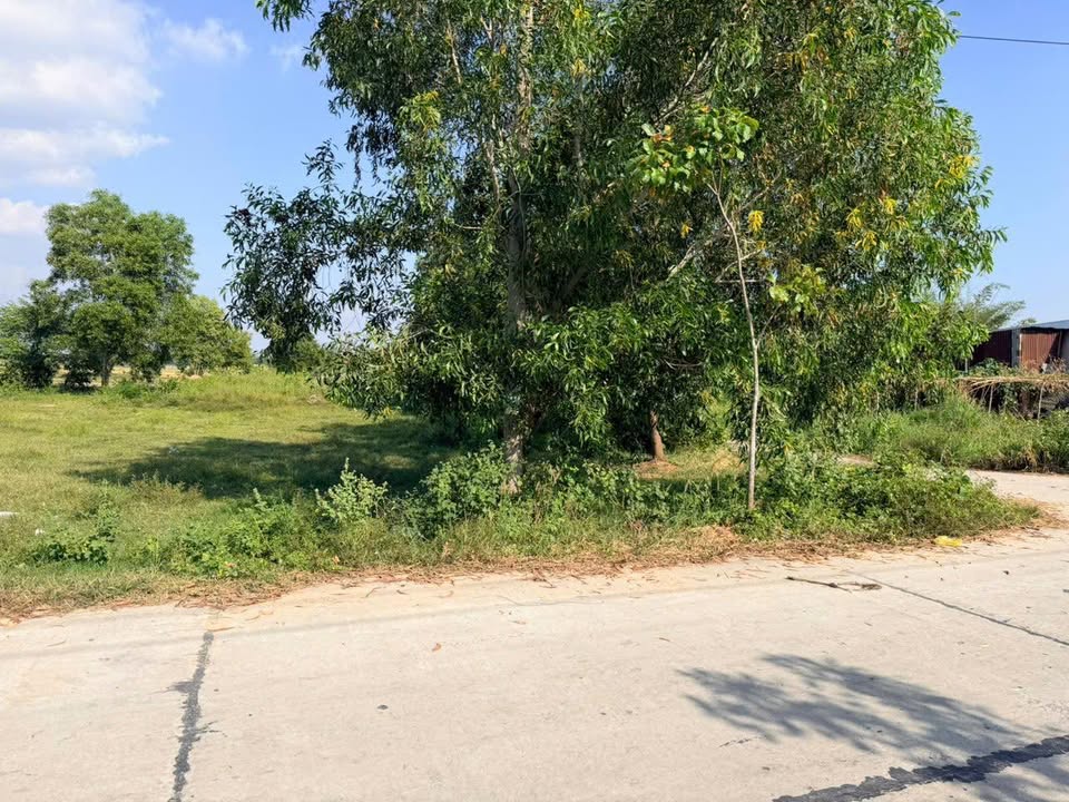 Đất nền 950m² mặt tiền đường Nam Kỳ Khởi Nghĩa - Đầu tư sinh lời tại Tri Tôn!