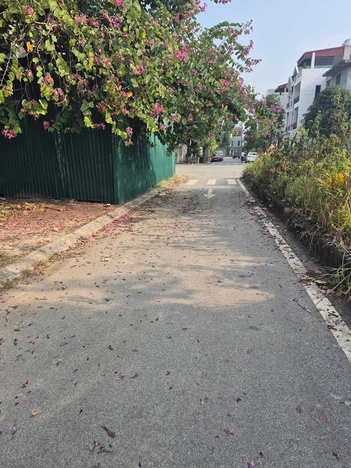 Đất nền dự án Cao Đức Vạn An 80m² giá 6 tỷ - Sổ đỏ chính chủ, vị trí đẹp!