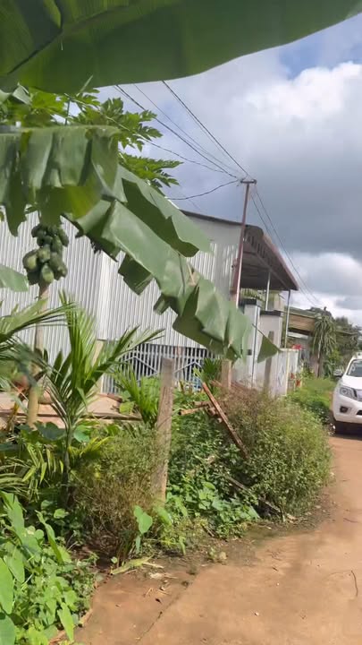 Đất nền Phú Lộc, Krông Năng 165m² giá 20.625 tỷ - Đầu tư sinh lời ngay!