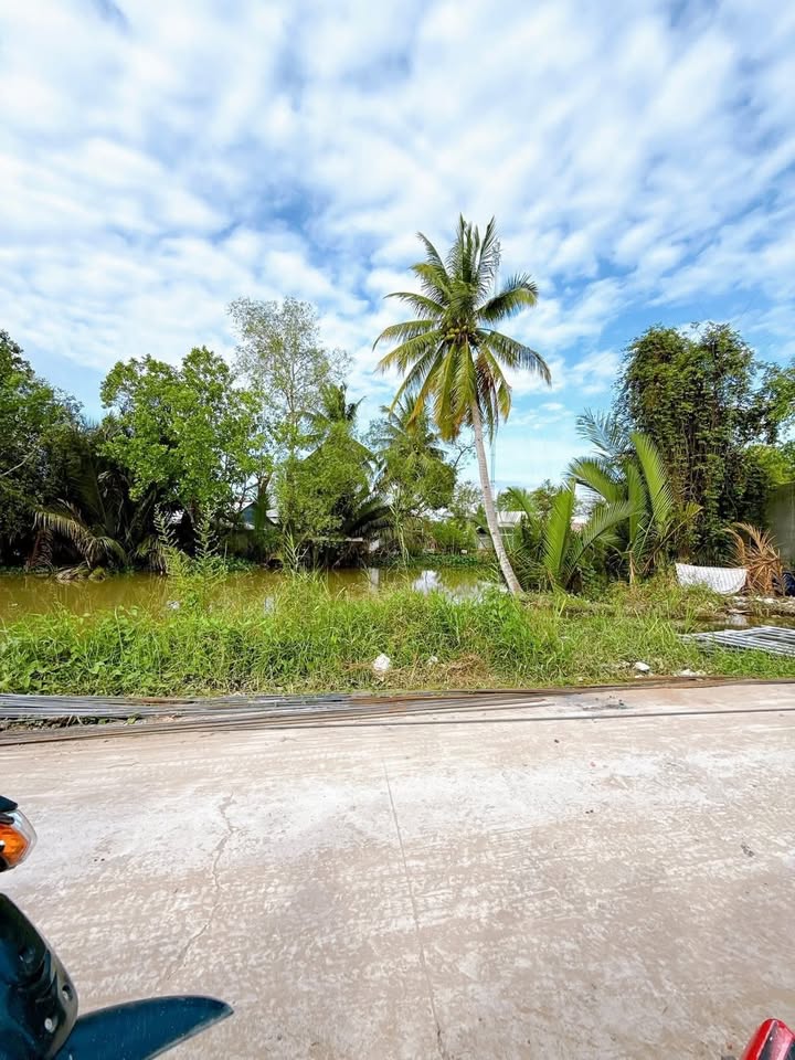 Đất nền Cạnh KDL Phi Yến Cần Thơ 99.18m² giá chỉ 920 triệu - Sẵn sàng đầu tư!