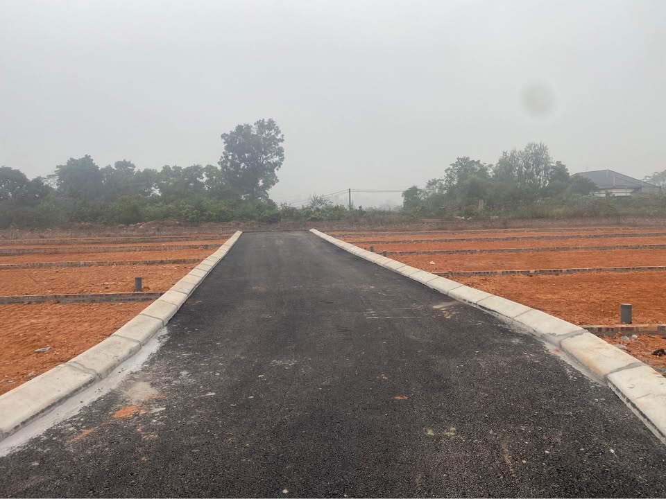 Đất thổ cư Hướng Đạo Tam Dương 120m² giá 1.6 tỷ - Đường nhựa rộng rãi, thuận lợi kinh doanh!
