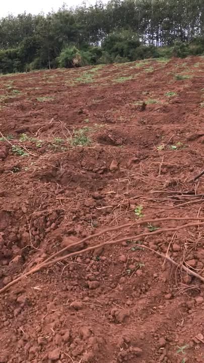 Đất nền 2ha Ia Pnôn Đức Cơ Gia Lai giá 1 tỷ - Sổ đỏ sang tên ngay!