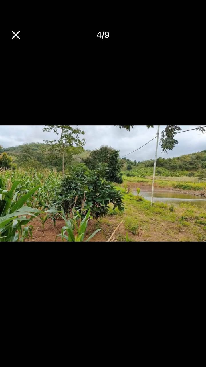 Đất nền Hòa Khánh, Buôn Ma Thuột 3100m² giá chỉ 850 triệu - Cơ hội vàng đầu tư!