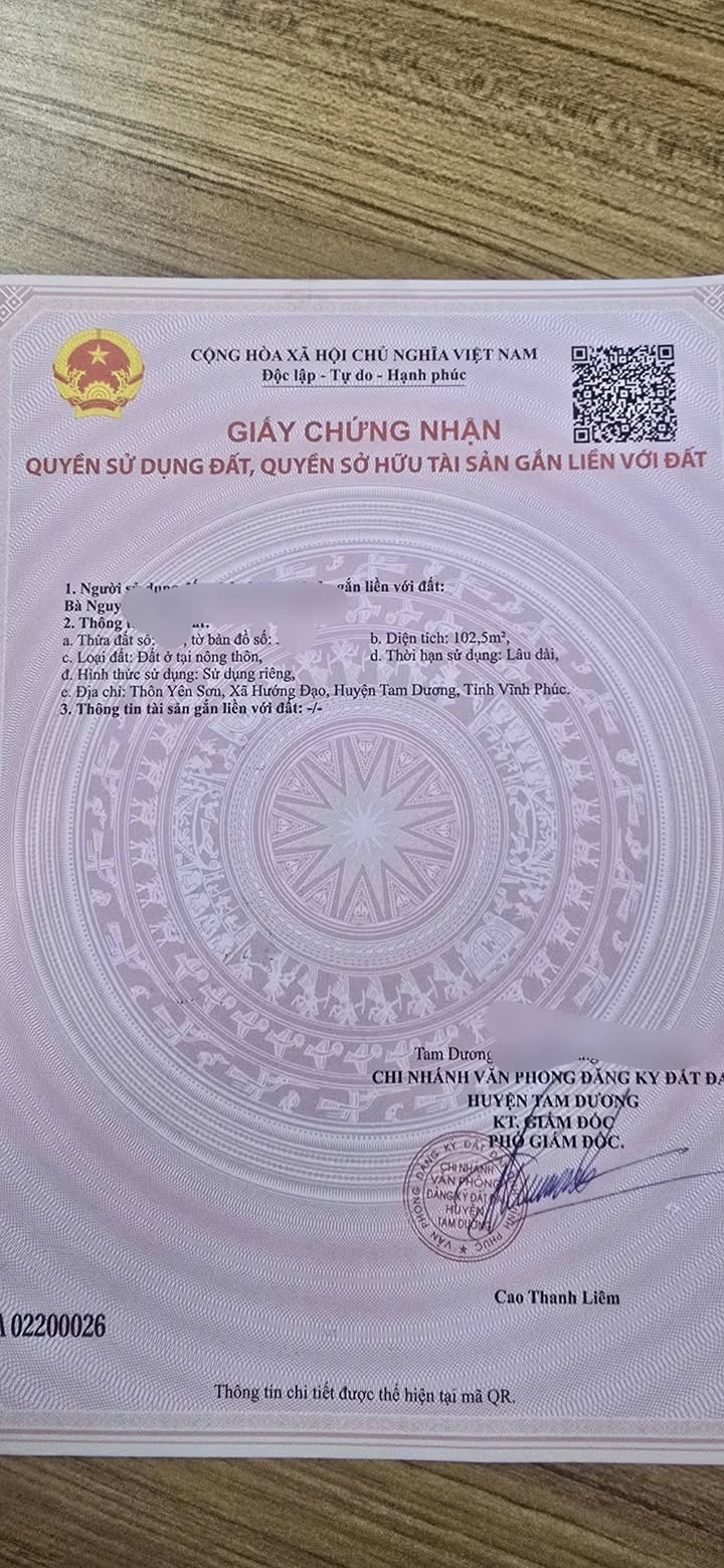 Lô đất thổ cư 102m² tại Hướng Đạo, Tam Dương - Giá chỉ 1 tỷ!