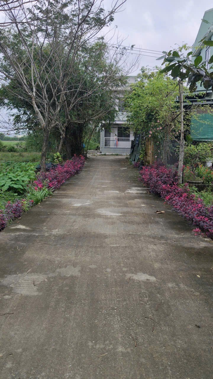 Đất nền Trường Xuân Tam Kỳ 210m² giá 1.3 tỷ - Sổ đỏ chính chủ, tiện ích đầy đủ!