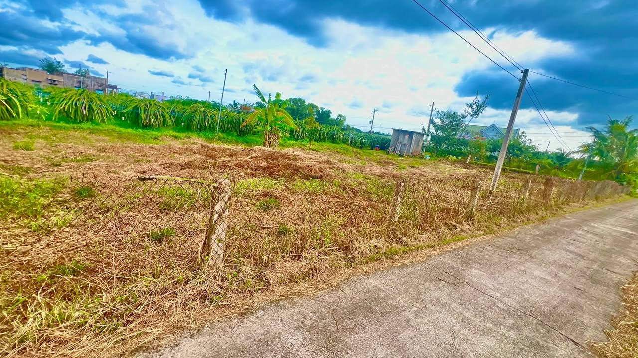 Đất nền thổ cư 600m² tại Hàm Chính, Hàm Thuận Bắc - Sổ đỏ chính chủ, giá thỏa thuận!