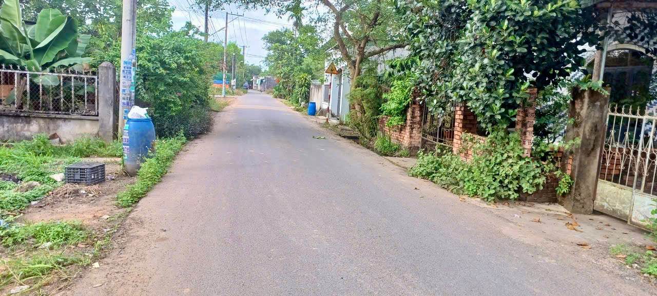 Đất nền An Viễn Trảng Bom 515m² giá 3 tỷ - Tiềm năng đầu tư lớn!