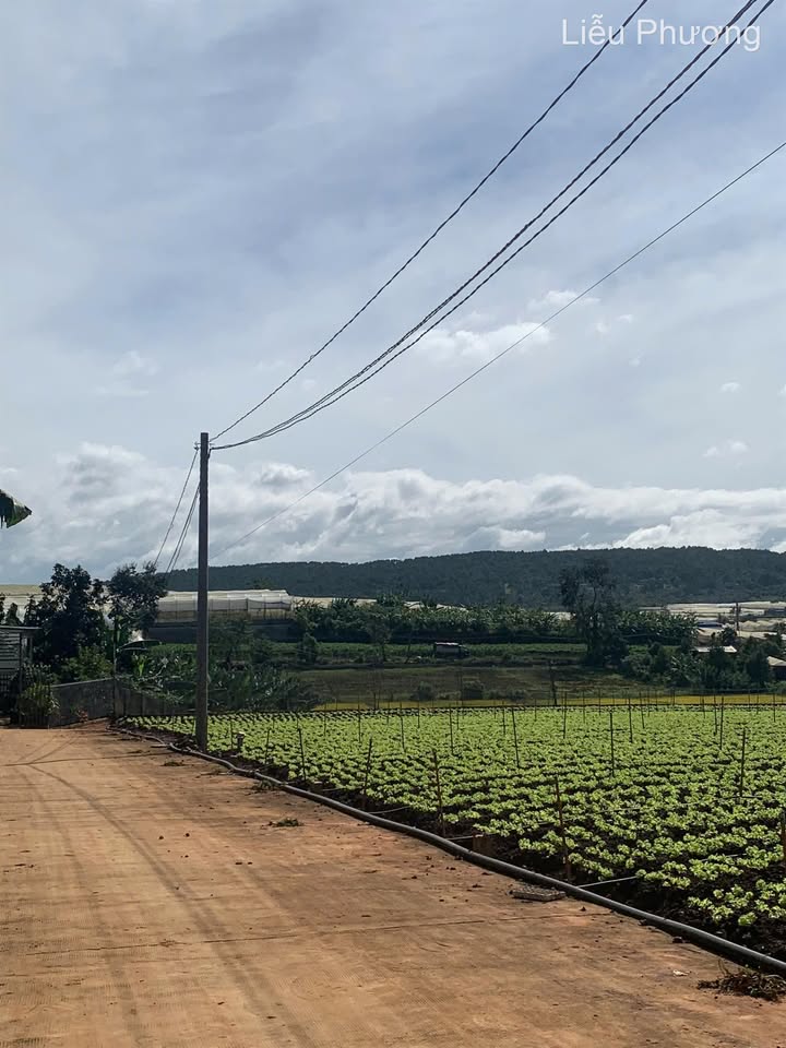 Đất thổ cư Đơn Dương 72m² giá 1.55 tỷ - Cơ hội đầu tư hấp dẫn!