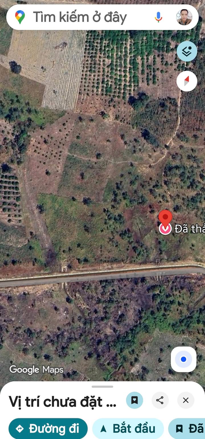 Đất nền xã Ia Mơ, Chư Prông, Gia Lai - 3ha mặt tiền tỉnh lộ 665, chỉ 800 triệu!