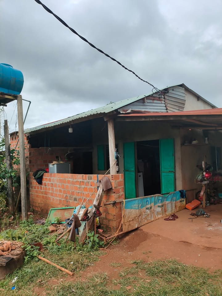 Farm 2,3ha tại Lơ Pang, Mang Yang giá 3,4 tỷ - Đầu tư sinh lời với vườn cây chất lượng!