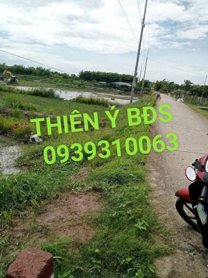 Đất nền Tân Khánh Đông, Sa Đéc 1500m² giá 1.6 tỷ - Pháp lý rõ ràng!