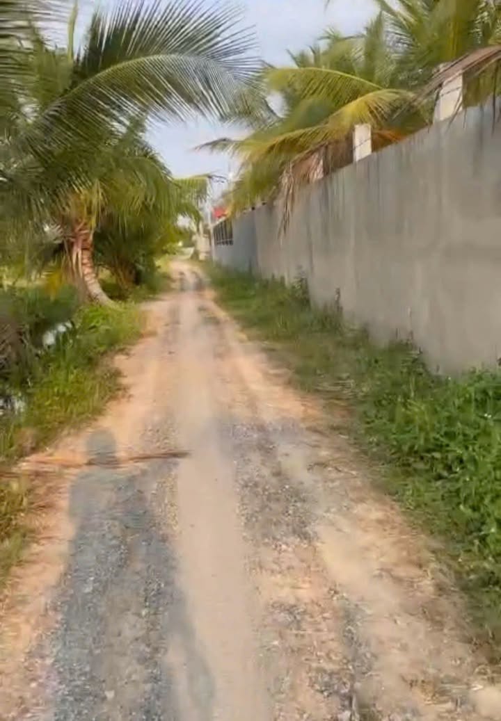 Đất vườn 2400m² tại ấp 1 Bình Đức - Giá 2,5 tỷ, Sổ hồng chính chủ!