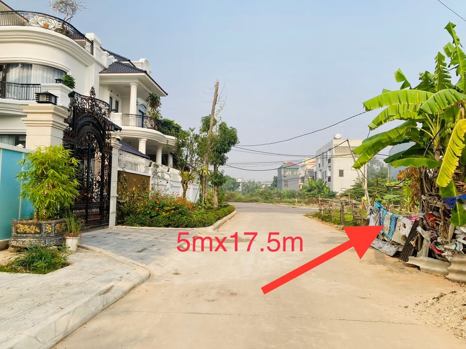 Đất nền chính chủ Thanh Miếu, Việt Trì 87,5m² giá chỉ 4 tỷ - Đầu tư sinh lời cao!