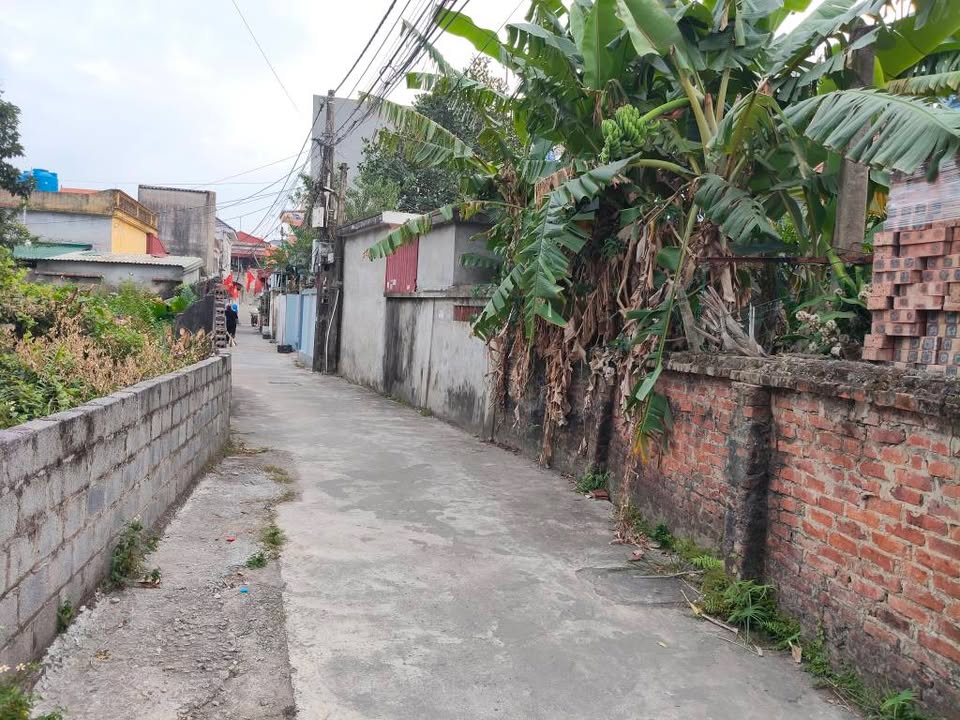 Lô đất Diêm Điền Thái Thụy 83m² giá 2.1 tỷ - Vị trí đắc địa cạnh chợ!