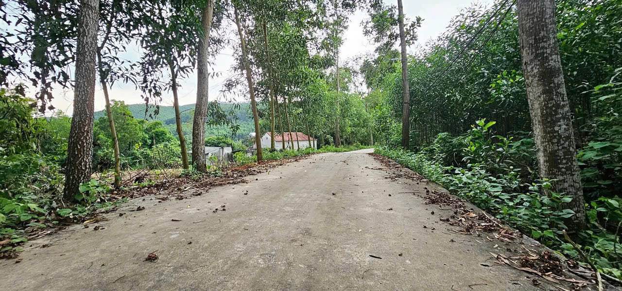 Đất thổ cư 300m² tại Tam Tiến, Yên Thế giá chỉ 400 triệu - Cơ hội đầu tư hấp dẫn!