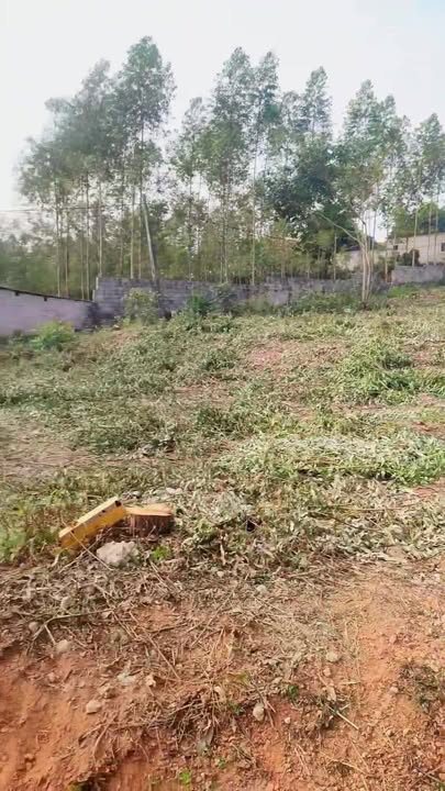 Đất thổ cư 360m² tại Tam Dị, Lục Nam - Giá chỉ 1.35 tỷ, cơ hội đầu tư tuyệt vời!