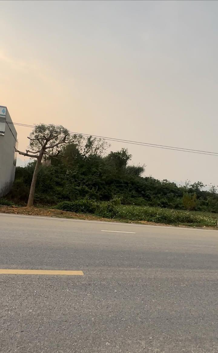 Đất mặt tiền đường 479 Gia Tường 100m² giá 1.6 tỷ - Đầu tư sinh lời ngay!